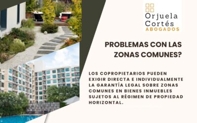 Los copropietarios pueden exigir directa e individualmente la garantía sobre zonas comunes